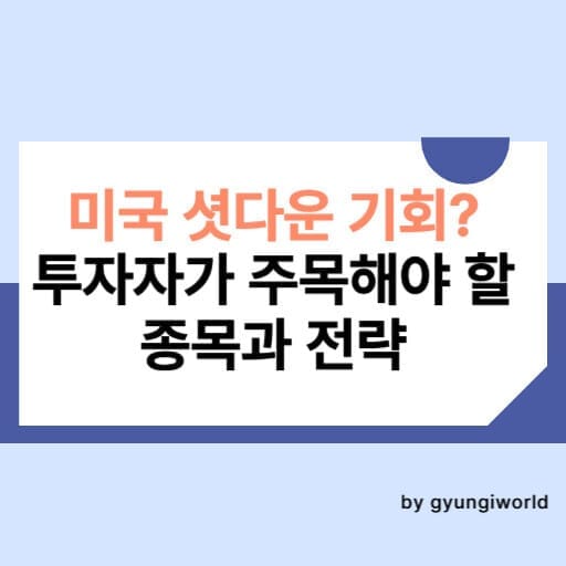 미국 셧다운 기회? 투자자가 주목해야 할 주식 종목과 전략 썸네일